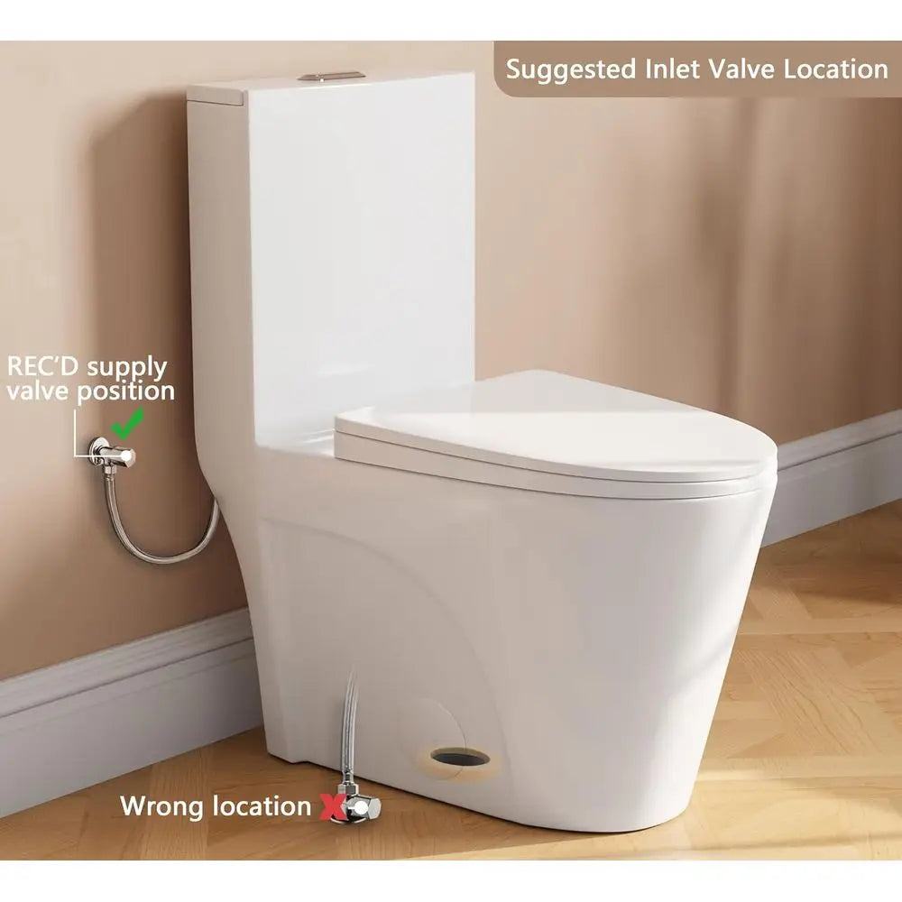 One Piece Toilet, Dual Power Flush,