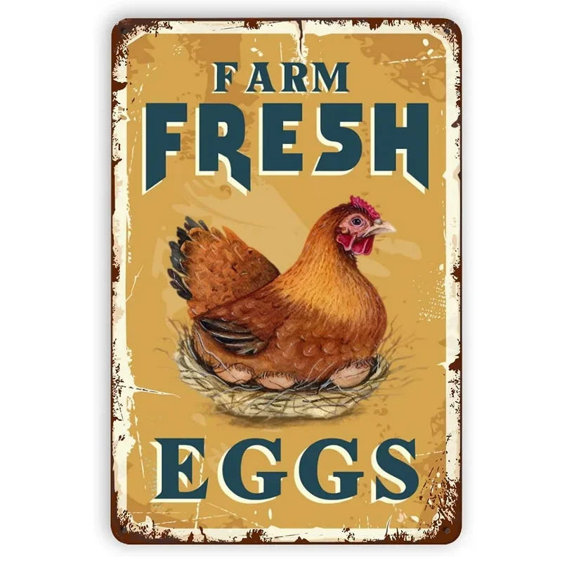 Metal Signs No Stupid People Beyoud this Point