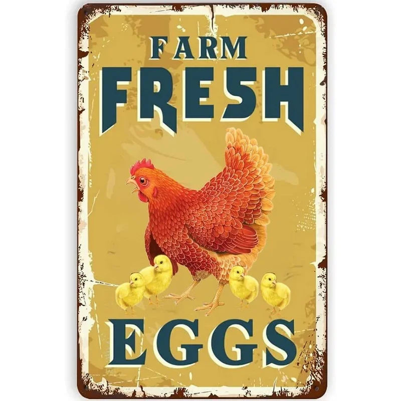 Metal Signs No Stupid People Beyoud this Point